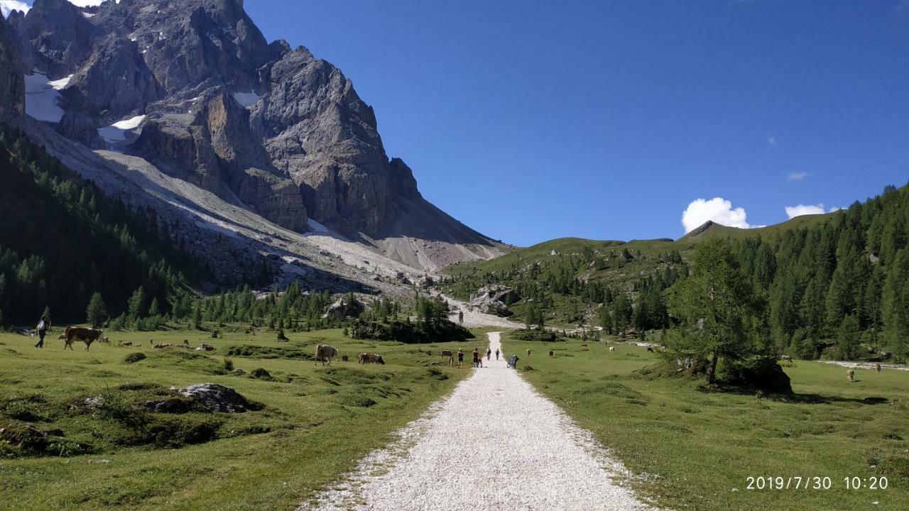 Il Covo Dello Sciatore Apartment Falcade Luaran gambar